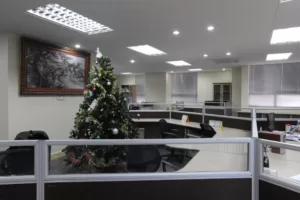 VP Phương Ngọc (cũ)